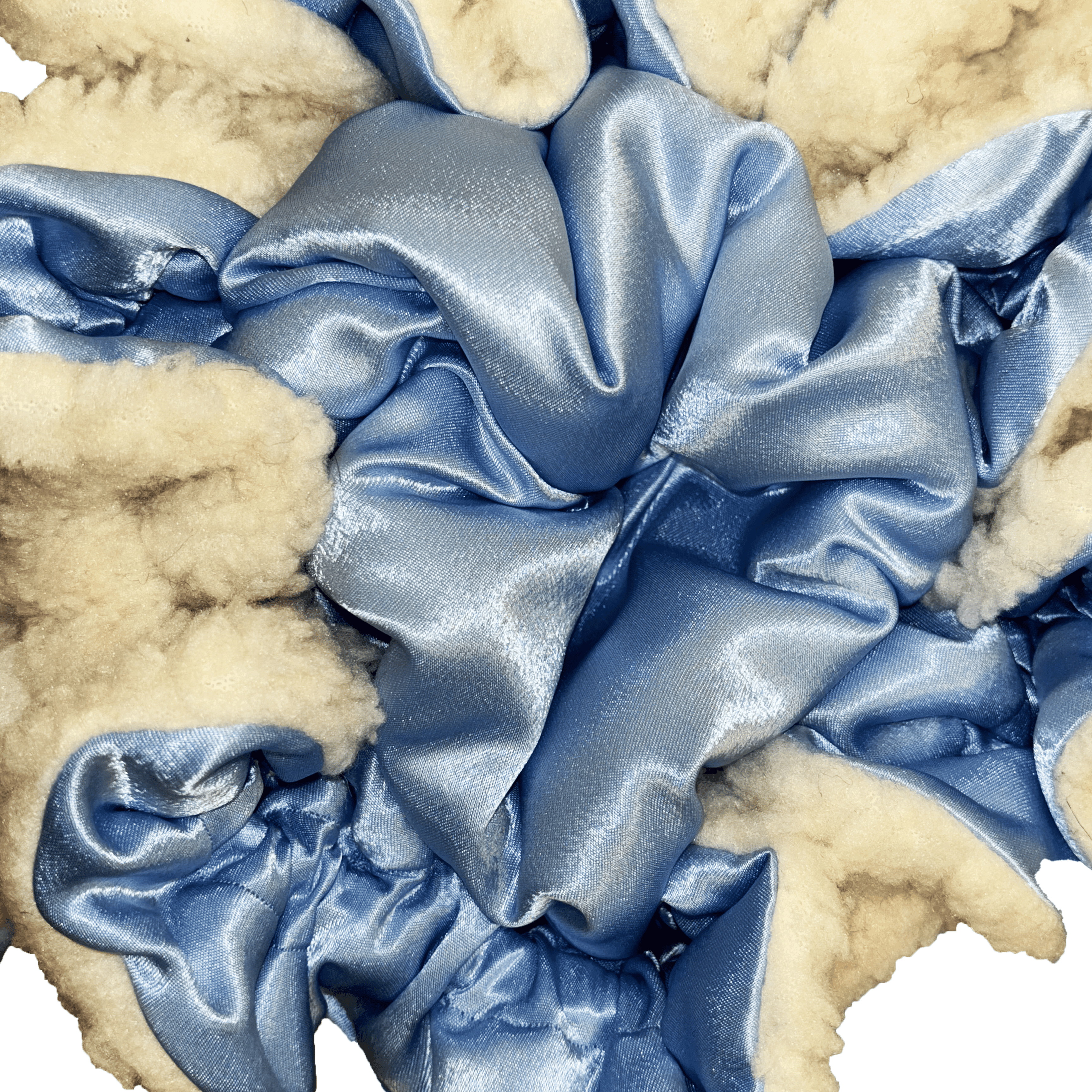Baby blue and white